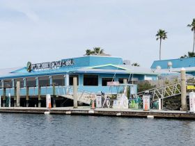A view of a waterfront establishment with a dock, but the image lacks clarity and detail.