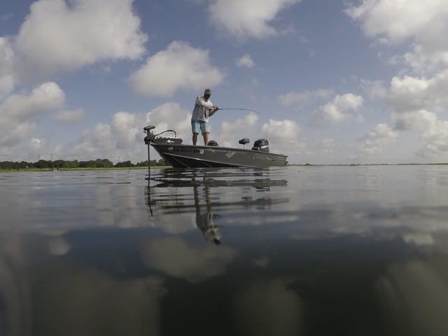 Listing image 1141546