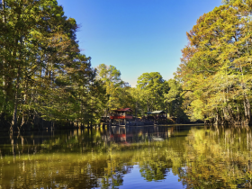 A serene view of a tranquil waterway surrounded by lush trees, reflecting the vibrant colors of nature — an ideal spot for peaceful boating excursions.