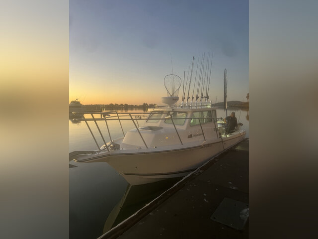 Listing image 1076695