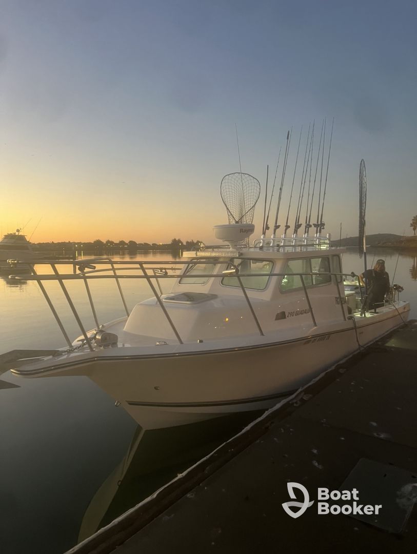 fishSFbay