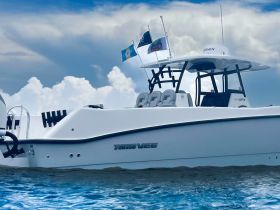 A sleek Twin Vee speedboat glides through clear waters, showcasing its modern design and features against a backdrop of dramatic clouds.