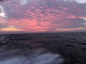 A stunning sunset over the ocean, showcasing vibrant pink and purple hues in the sky — perfect for capturing the beauty of evening boat trips.