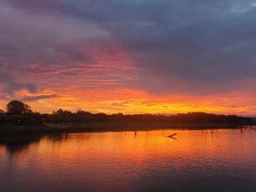 A stunning sunset casts vibrant colors over the water, creating a picturesque reflection — a perfect moment for nature lovers and photographers.