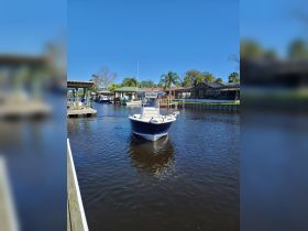 A sleek speedboat named 'Daytripper' navigates through calm waters, showcasing the serene beauty of a waterfront community.