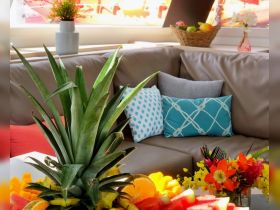 A vibrant display of fresh fruit and decorative pillows on a cozy seating area aboard a boat, perfect for relaxing and enjoying refreshments while at sea.