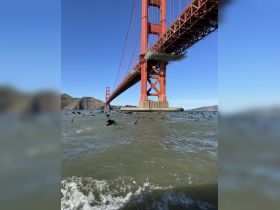 A stunning view of the Golden Gate Bridge from the water, with birds flying over the waves, showcasing the iconic landmark against a clear blue sky.