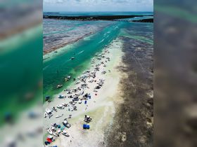 A vibrant scene at a popular sandbar with numerous boats anchored and groups enjoying the sun and water — a perfect spot for summer fun and social gatherings.