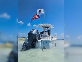 A sleek boat anchored in shallow waters, showcasing its powerful Yamaha engine and pirate-themed flag — perfect for adventurous outings on the water.