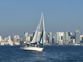 A beautiful sailboat glides through the water with a stunning city skyline in the background, showcasing the perfect blend of urban and nautical scenery.