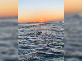 A stunning sunset over the ocean, casting vibrant colors across the water — a perfect backdrop for evening boat trips or romantic cruises.