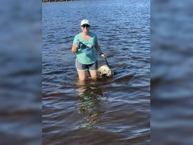 A woman enjoys a sunny day in the water with her dog, creating a joyful outdoor experience perfect for pet lovers.