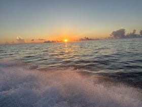 A stunning sunset over the ocean, capturing the serene beauty of the water and sky — perfect for romantic evenings or peaceful boat rides.
