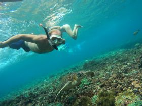 A snorkeler interacts with a sea turtle in vibrant underwater scenery, showcasing the beauty of marine wildlife encounters.