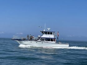 A group of people enjoy a day on the water aboard a cruising boat, showcasing the excitement of on-water adventures.