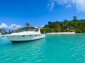 Charter Image