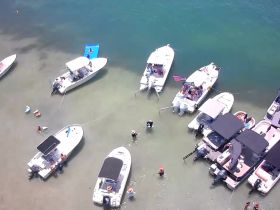A lively gathering of friends enjoying a sandbar stop with multiple boats anchored nearby, perfect for swimming and socializing under the sun.