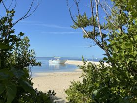 A serene view of a speedboat docked near a sandy beach, framed by lush greenery — an ideal spot for a relaxing day on the water.