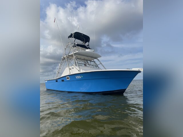 Listing image 1077876
