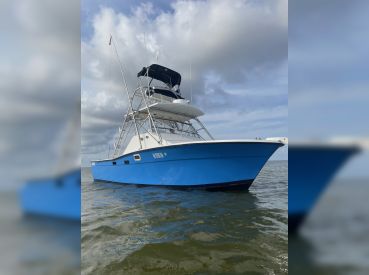 Double Ace Charters