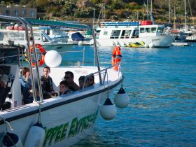 A group of guests, including children, enjoy a boat excursion on the water, showcasing the fun and adventure of family outings.