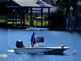 A speedboat navigates through calm waters, showcasing its sleek design and the operator at the helm — perfect for a day of exploration on the water.