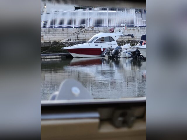 Listing image 1085552