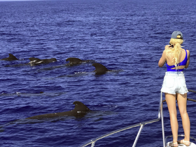 A woman captures a stunning moment as dolphins swim alongside her boat, showcasing the beauty of marine wildlife in their natural habitat.