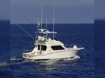 Fire Hatt Sportfishing