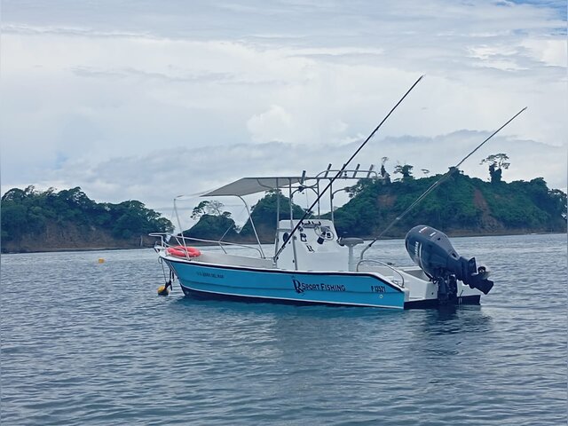 Listing image 1103656