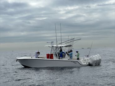 Back For More Charters