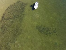 An aerial view of a boat navigating through shallow waters, showcasing the vibrant underwater landscape and marine life below.