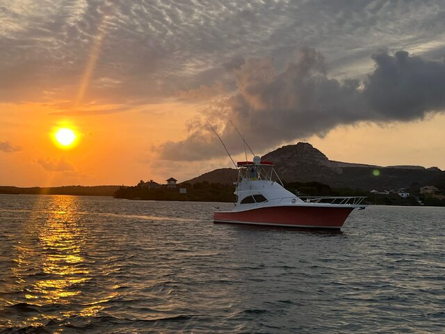 Listing image 1078274