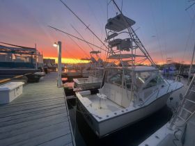 Charter Image
