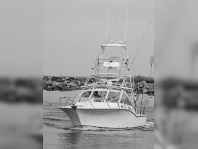 A sleek yacht navigates through calm waters, showcasing its impressive design and fishing gear — perfect for a day out on the ocean.