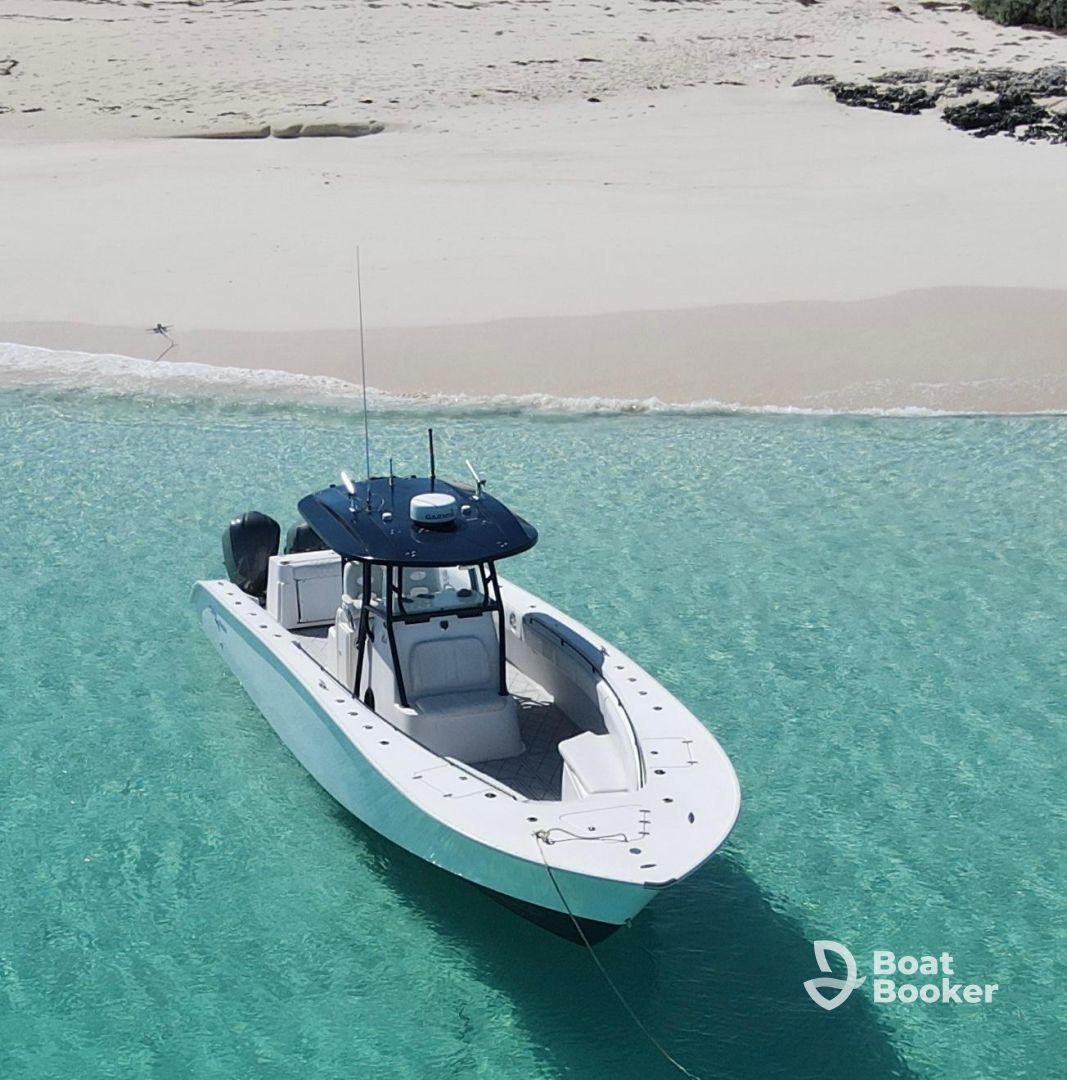 Bahama Joy Ride & Snorkeling – Sting Ray