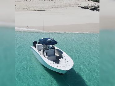 Bahama Joy Ride & Snorkeling – Sting Ray
