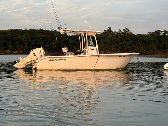 Listing image 1081385
