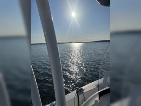 A serene view of sparkling water under the sun, showcasing a peaceful boating experience on a clear day.