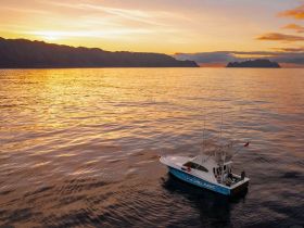 A stunning aerial view of a fishing boat named 'Pelagic' cruising through calm waters at sunset, surrounded by picturesque mountains — perfect for fishing adventures.