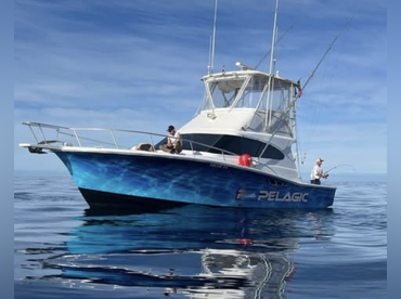 Madeira Sea Fishing
