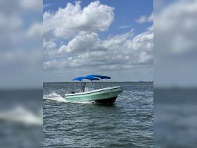 A sleek speedboat navigates through the water under a bright sky, showcasing its vibrant design and the thrill of boating adventures.