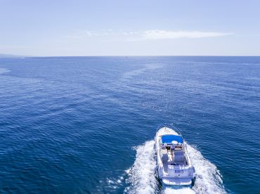 Monty Charter Experience
