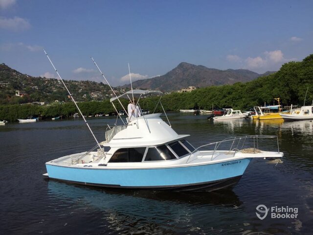 Listing image 1080361