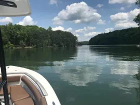 Charter Image