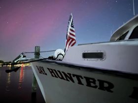A beautifully captured night shot of the 'Bay Hunter' boat docked, with a starry sky providing a stunning backdrop — perfect for nighttime boating adventures.