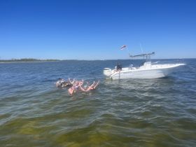 A lively group enjoys snorkeling in shallow waters, with a boat anchored nearby — perfect for a fun day on the water.