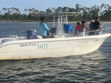 Salty Fins Dolphin And Snorkeling Tours
