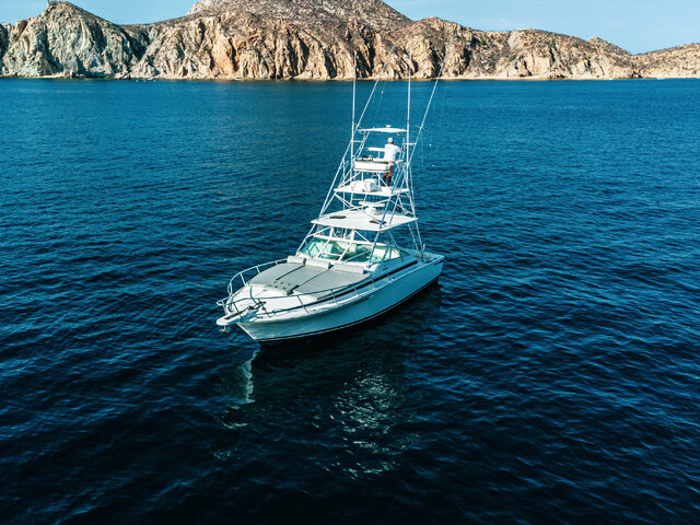 Listing image 1078729