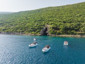 A group of boaters enjoy a scenic day on the water, surrounded by lush greenery and a picturesque coastline — perfect for exploring hidden coves and enjoying nature.